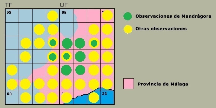 Distribución de Calopteryx haemorrhoidalis en la Serranía